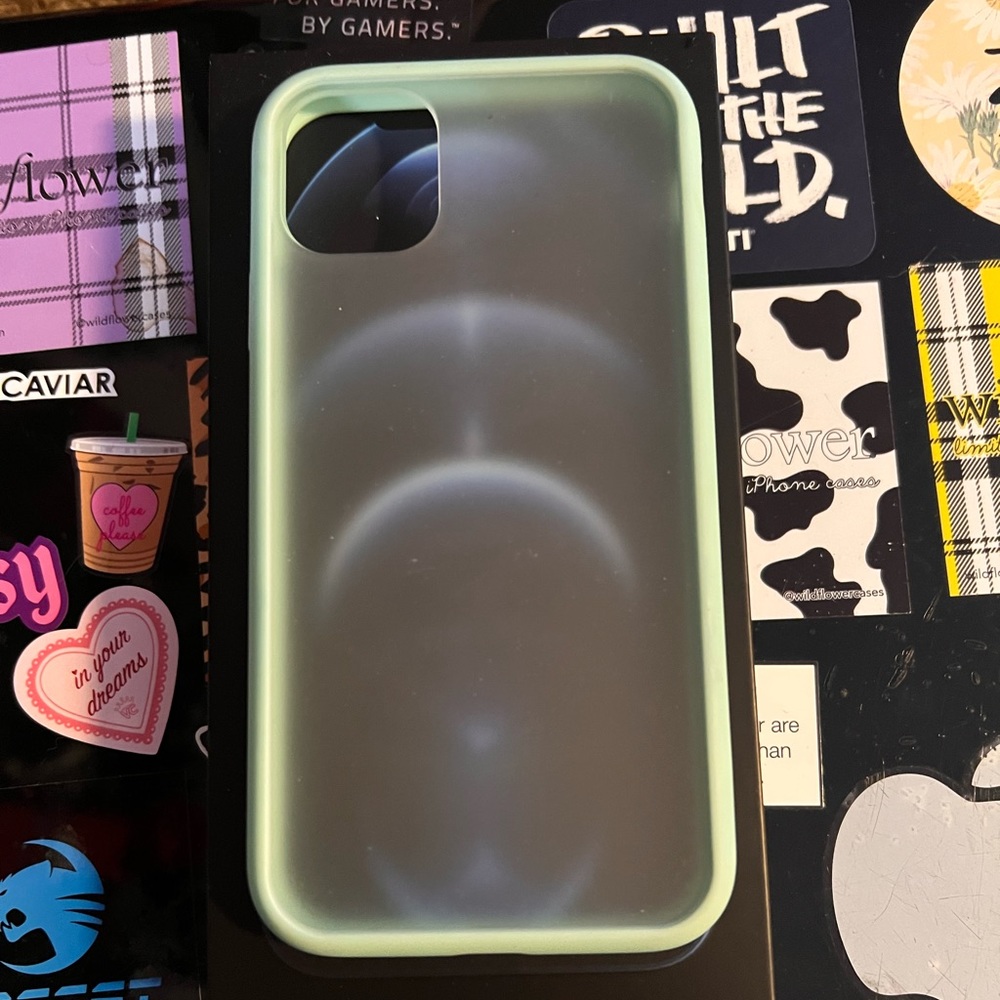 iPhone 11 ihome case